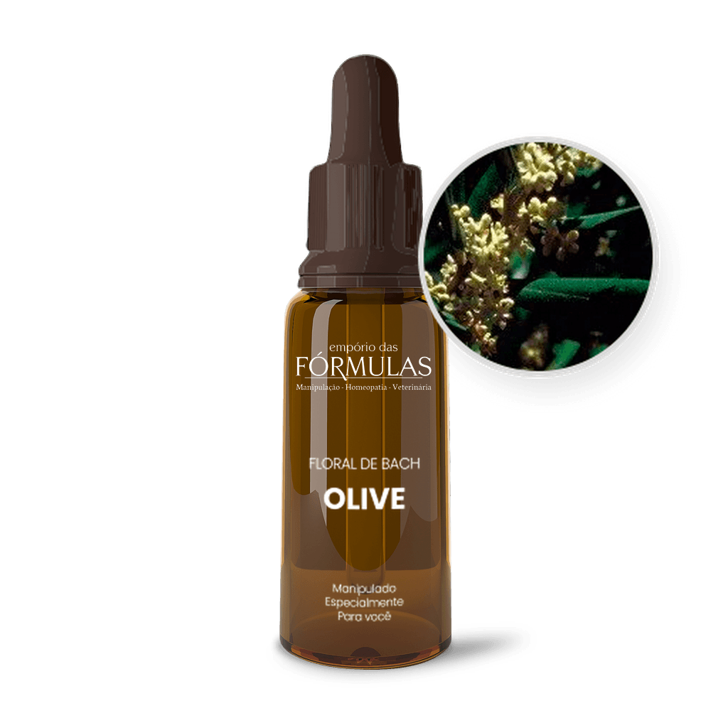 Imagem não encontrada